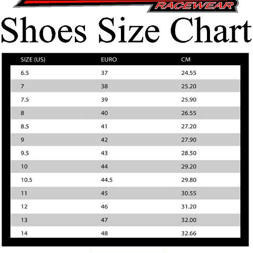 Load image into Gallery viewer, Custom SFI Shoes